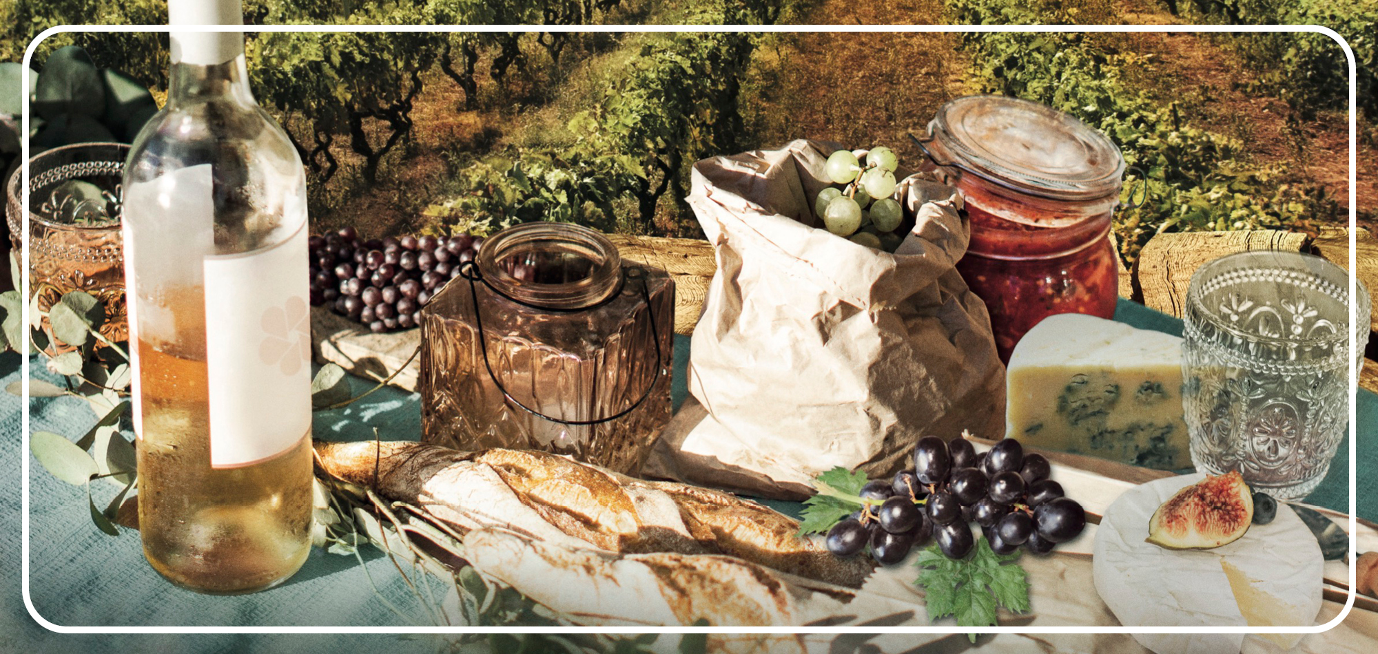 Terroir  Eine genussvolle Reise in die Welt des Weines